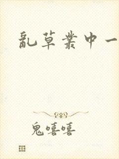 乱草丛中一杆枪