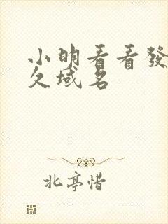 小明看看发布永久域名