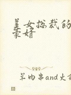 美女总裁的顶级豪婿