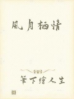 风月栖情