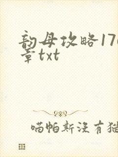 韵母攻略176章txt