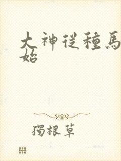 大神从种马文开始