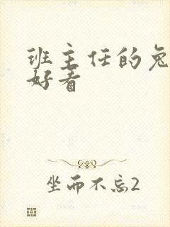 班主任的兔子真好看