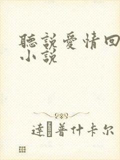 听说爱情回来过小说