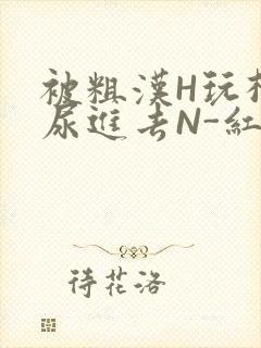 被粗汉H玩松了尿进去N-红-Q