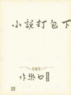 小说打包下载