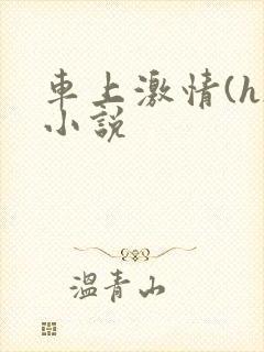 车上激情(h)小说