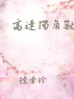 高达独角兽小说