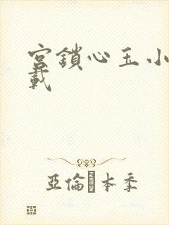 宫锁心玉小说下载