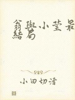 翁与小莹最新大结局