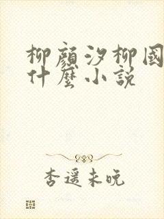 柳颜汐柳国安是什么小说