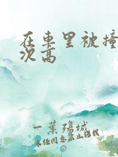 在车里被撞了八次高