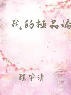 我的极品娇妻