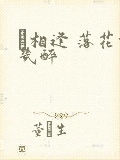 囍相逢 落花能几醉