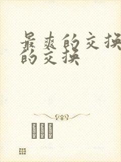 最爽的交换疯狂的交换