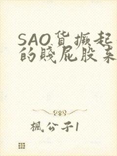 SAO货撅起你的贱屁股来