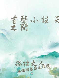 有声小说 天地之间