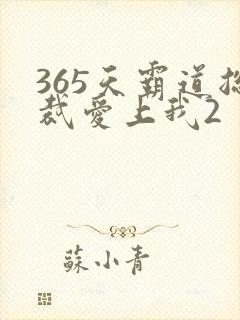 365天霸道总裁爱上我2