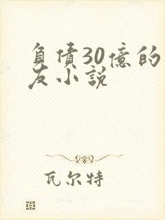 负债30亿的男友小说