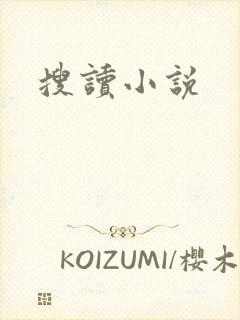 搜读小说