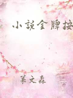 小说金牌按摩师