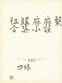 征服麻麻系列大合集小说