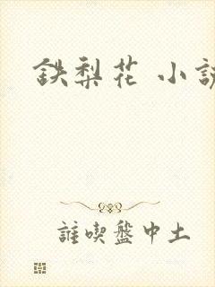 铁梨花 小说
