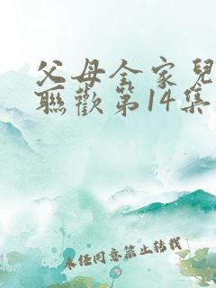 父母全家儿女大联欢第14集