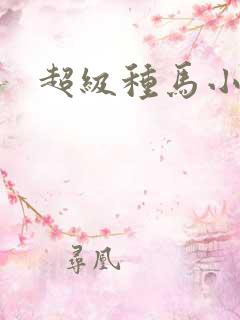 超级种马小说