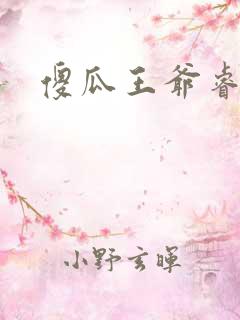 傻瓜王爷睿智妃