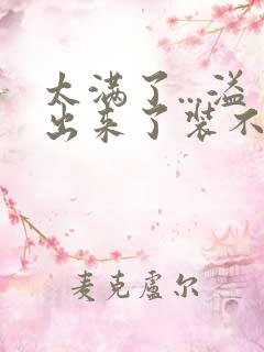 太满了...溢出来了装不下了