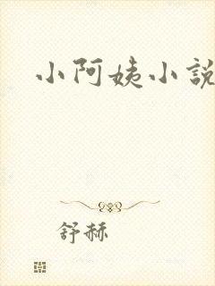 小阿姨小说
