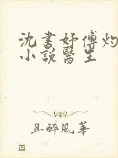 沈书妤傅灼抖音小说医生