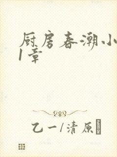 厨房春潮小说第1章