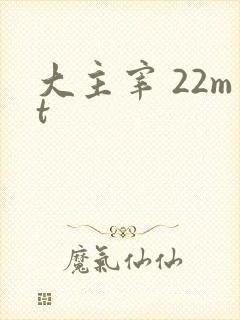 大主宰 22mt