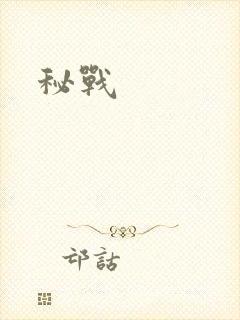 秘战