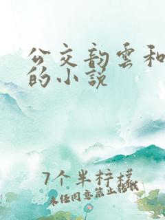 公交韵云和小健的小说