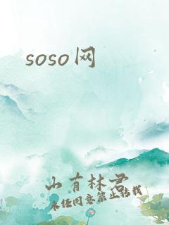 soso网
