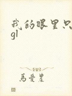 我的眼里只有你gl