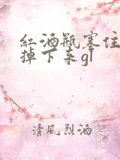 红酒瓶塞住不准掉下来gl