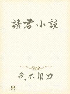 请君小说