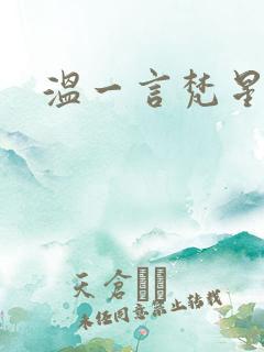 温一言梵星小说