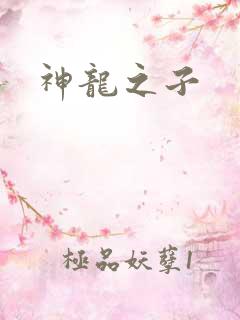 神龙之子