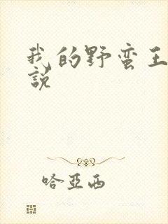 我的野蛮王妃小说