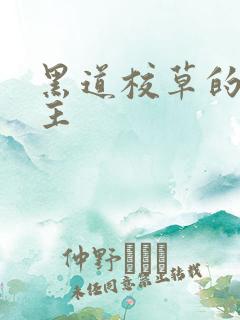 黑道校草的冷公主