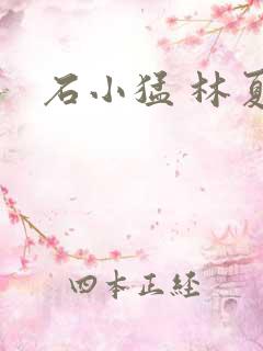 石小猛 林夏