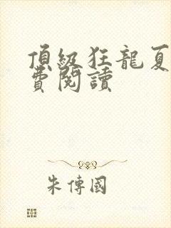 顶级狂龙夏天免费阅读