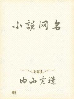 小说网名