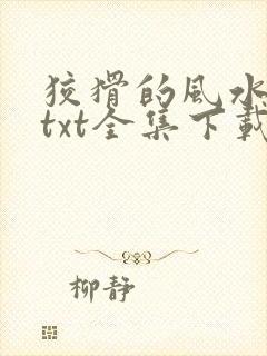 狡猾的风水相师txt全集下载