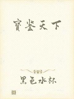 宝鉴天下